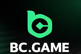Unlocking the Excitement A Deep Dive into Bonus BC Hash Game